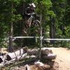DirtBag81611 avatar