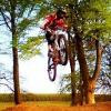 bikerali avatar