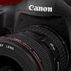 linton-photo avatar