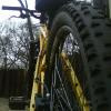 evadawid avatar
