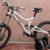 iliketoridemybicycle avatar