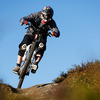 tmeirik avatar