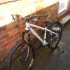 Pinkbike profile picture for @cabbage