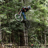 SHMYR avatar