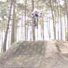knutybmxer avatar