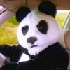 PoussMouss avatar