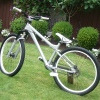 Pinkbike profile picture for @Salts