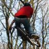 Pinkbike profile picture for @grail