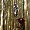 kurtis178 avatar