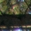 Plamka4 avatar
