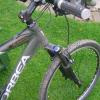Pinkbike profile picture for @Levitation