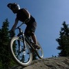 ptrk avatar