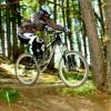 Pinkbike profile picture for @carnivorous