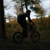 Pinkbike profile picture for @Logos