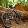 bikerboywill avatar