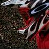 bont avatar