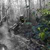 Pinkbike profile picture for @Driftwood