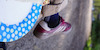 scottay avatar