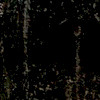 cwells avatar