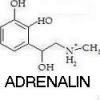Adrenalinbike avatar