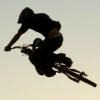 warrenjamesdyck avatar