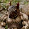 wiewior123 avatar