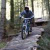 wellys avatar