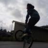 felttari avatar