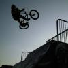 Lamby91 avatar