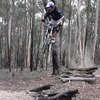 adz123 avatar