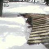 Pinkbike profile picture for @Skis