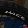 tpm7 avatar