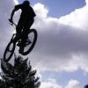 Dirt-Mania avatar