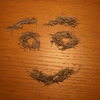 Chrisluvsbiking avatar