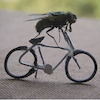 evanm50 avatar