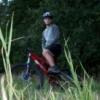 panam avatar
