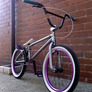 Bmx-David avatar