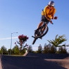 shrednasty avatar