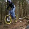 DirtDevilz avatar