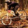 CruzinV10 avatar