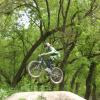 Dmclachlan avatar