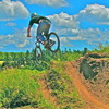 flonkston avatar