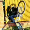 Milussbt avatar
