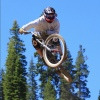 Shmob avatar