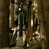 Transitionrider007 avatar