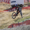 VegiAlex avatar