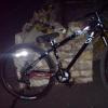 mongoose95 avatar