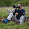 gepard79 avatar