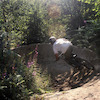 billy860 avatar