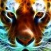 pete108 avatar